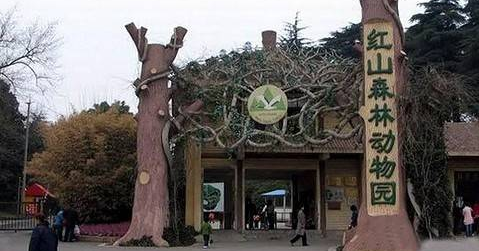 南京南京红山森林动物园预订