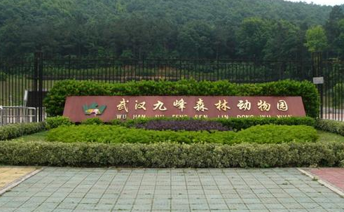 武汉九峰森林动物园预订
