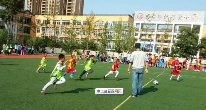 成都锦江区体育公园足球预订