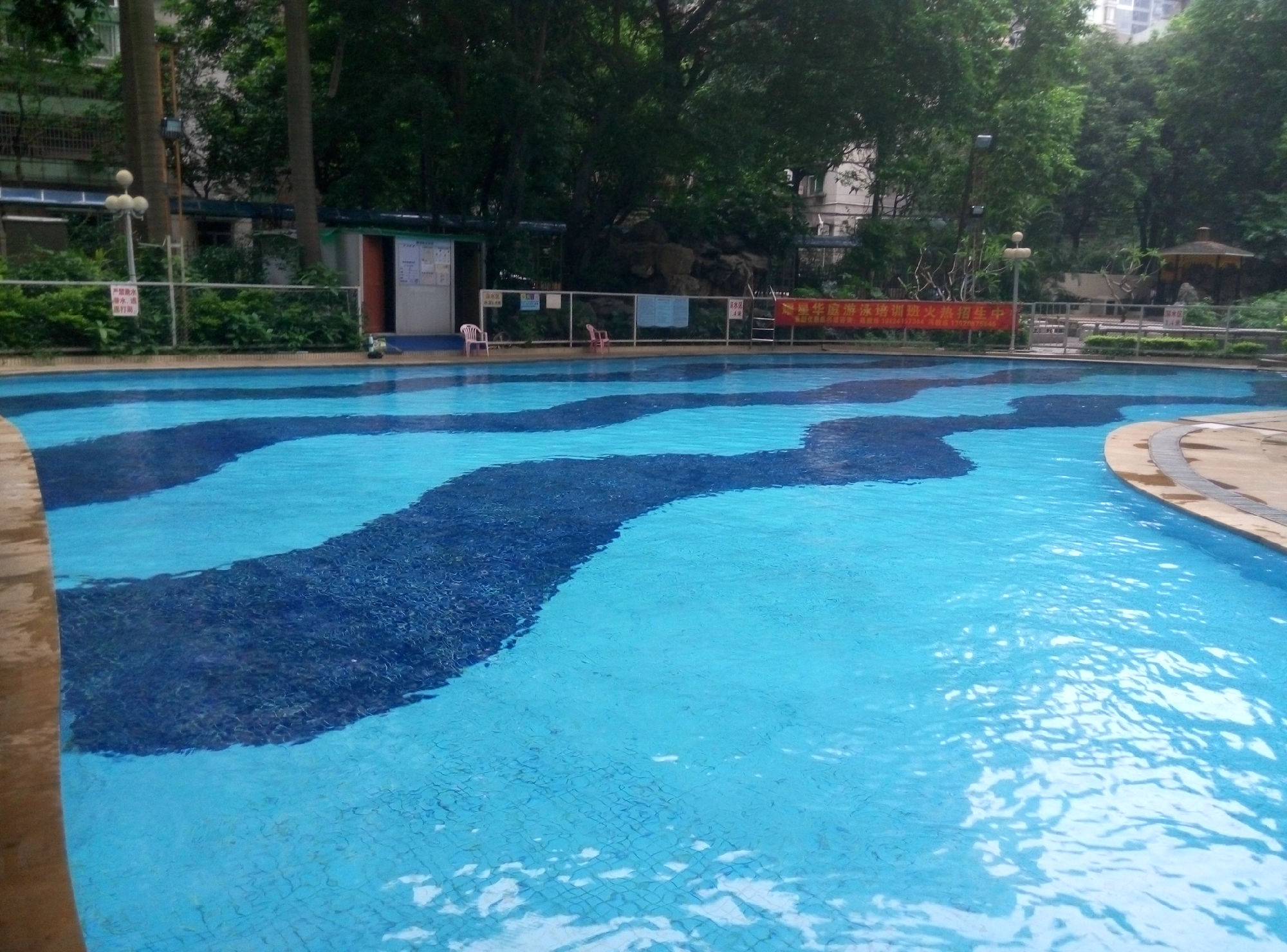 广州耀星华庭游泳池预订