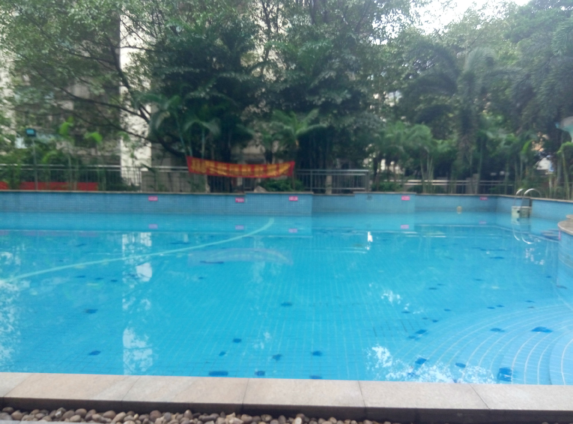 广州贝丽花园游泳池预订