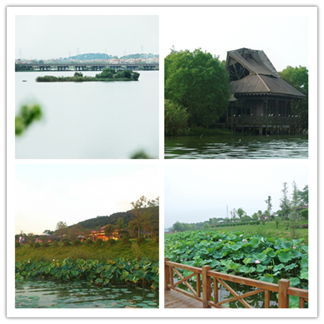 武汉后宫湖湿地公园预订